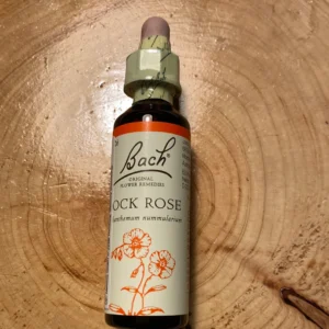 Floral Rock Rose